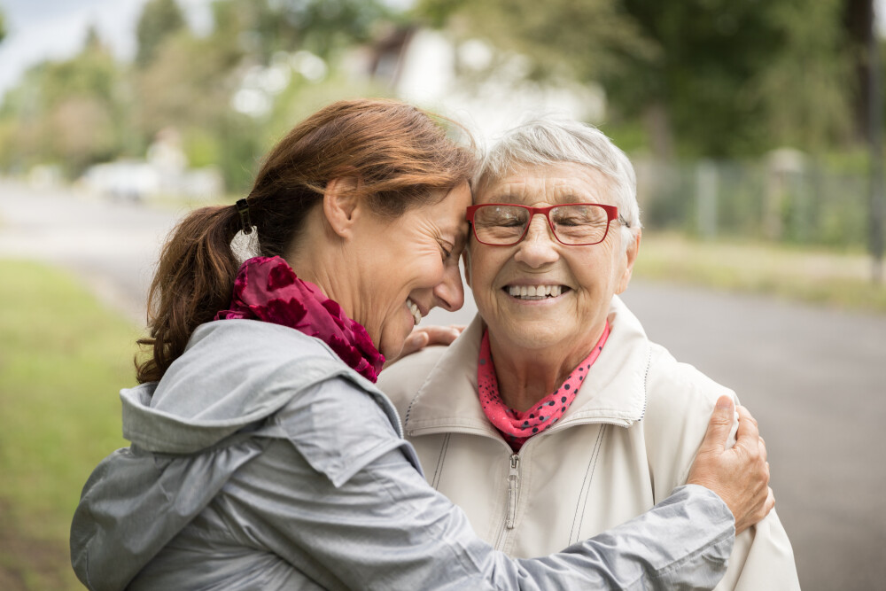 how enliven support you